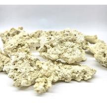 Microsfera Reef Frag Soma Rocha Marinha