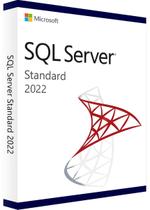 Microsoft SQL Server 2022 Standard Edition