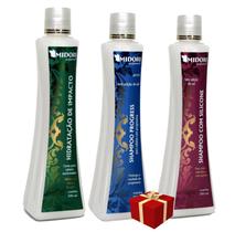 Midori Profissional Kit Impacto + Shampoo Progress 500Ml