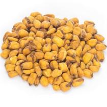 Milho Aperitivo Torrado e Salgado a Granel Milho Aperitivo Torrado e Salgado a Granel