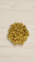 Milho Crocante Torrado Mostarda e Mel 500g Milho Crocante Torrado Mostarda e Mel 500g
