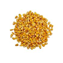 Milho de galinha Natural 1 Kg Original
