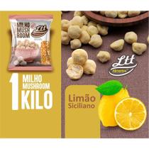 Milho De Pipoca Gourmet Millho Mushroom Para Pipoca Doce Ou Salgada - 1kg Milho De Pipoca Gourmet Millho Mushroom Para Pipoca Doce Ou Salgada - 1kg