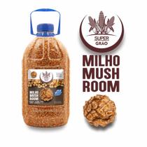 Milho de Pipoca Redonda Gourmet Tipo Mushroom Galão 2,7kg Milho de Pipoca Redonda Gourmet Tipo Mushroom Galão 2,7kg