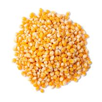 Milho de Pipoca TOP Line Cianorte 1Kg Milho de Pipoca TOP Line Cianorte 1Kg
