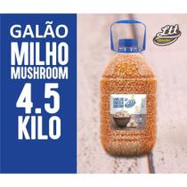 Milho Mushroom 4,5 Kilo Milho Mushroom 4,5 Kilo