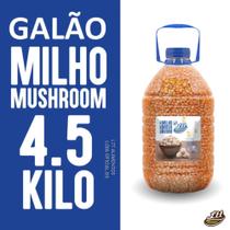 Milho Mushroom Galão 4,5 Kilos Pipoca Gourmet Receitas Doces E Salgadas Milho Mushroom Galão 4,5 Kilos Pipoca Gourmet Receitas Doces E Salgadas
