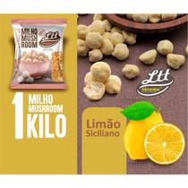 milho mushroom para pipoca doce ltt 1kilo milho mushroom para pipoca doce ltt 1kilo