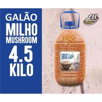 Milho mushroom para pipoca goumert galao 4,5kg oficial