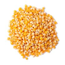 Milho para Pipoca 1Kg Total Food Milho para Pipoca 1Kg Total Food