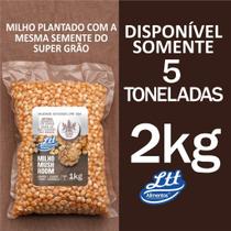 Milho para pipoca doce mushroom 2kg super grao Milho para pipoca doce mushroom 2kg super grao