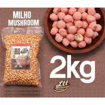 milho para pipoca mushroom A VÁCUO 2kg