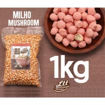 Milho para pipoca mushroom doce gourmet 1kg a vácuo Milho para pipoca mushroom doce gourmet 1kg a vácuo