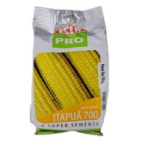Milho Verde Doce Itapuã 100g Semente Híbrida Produtiva - Isla Pro Milho Verde Doce Itapuã 100g Semente Híbrida Produtiva - Isla Pro
