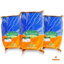 Milho Verde Híbrido Robusto 15kg Ideal para Plantação Produtiva