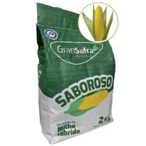 Milho Verde Saboroso Pamonha Híbrido 3046 2kg - GranSafra