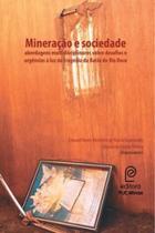 Mineração e sociedade: abordagens multidisciplinares sobre desafios e urgências à luz da tragédia da bacia do rio doce - PUC MINAS