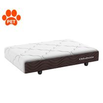 Mini Base Pet Dog (13x80x100) Bege e Marrom