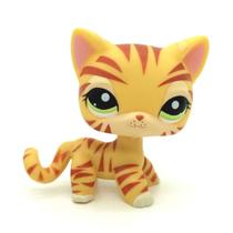 Mini brinquedo para animais de estimação CFCLLBR Rare Yellow Tiger Cat e boneco de gatinho Mini brinquedo para animais de estimação CFCLLBR Rare Yellow Tiger Cat e boneco de gatinho