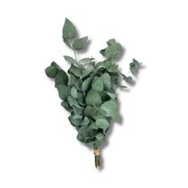 Mini Buquê Eucalipto De Flor De Corte Decoração Desidratada