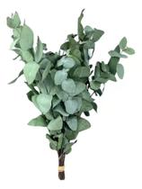 Mini Buquê Eucalipto De Flor De Corte Decoração Desidratada