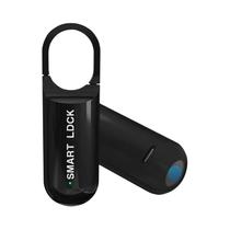 Mini Cadeado Inteligente Com Impressão Digital, Sem Chave, Biométrico, Para Armários De Escola E Mini Cadeado Inteligente Com Impressão Digital, Sem Chave, Biométrico, Para Armários De Escola E