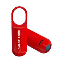 Mini Cadeado Inteligente Com Impressão Digital, Sem Chave, Biométrico, Para Armários De Escola E Mini Cadeado Inteligente Com Impressão Digital, Sem Chave, Biométrico, Para Armários De Escola E