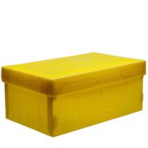 Mini Caixa Organizadora Dello 28x17x12cm 5,71L 2169