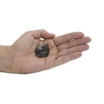 MINI CARA DE GATO QUARTZO CÓSMICO (2 a 3)cm