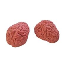 Mini Cérebro Em Borracha Com 10 Unidades - Alearts Artesanais