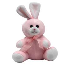 Mini Coelho De Pelúcia 21cm Antialérgico, CKS Toys, Coelhinho Da Páscoa Decoração De Cesta