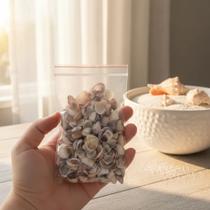 Mini Conchas Naturais Sortidas Para Artesanato E Decor Mix Story 100g