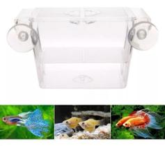 Mini Criadeira Flutuante De Acrílico Skrw Cr-07 12x7x7cm Mini Criadeira Flutuante De Acrílico Skrw Cr-07 12x7x7cm