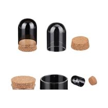 Mini Cúpula De Vidro Com Flor Eterna, Caixa De Exposição Com 10 Conjuntos De Base De Madeira Mini Cúpula De Vidro Com Flor Eterna, Caixa De Exposição Com 10 Conjuntos De Base De Madeira