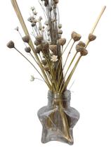 Mini Difusor Estrela 60ML Com sempre viva