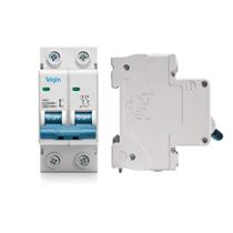 Mini Disjuntor 100A Bipolar Bivolt DEP6-2C100 Elgin
