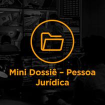 Mini Dossiê Pessoa Jurídica