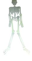 Mini Esqueleto Humano Articulado 80 Cm Halloween- Kit 2un