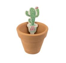 Mini Horta Cactos