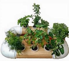 Mini Horta Kit Jardim Hidroponico com Nutrientes e Sementes