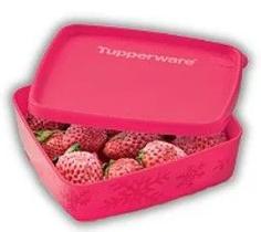 Mini Jeitosinho 250ml Neve Rubi Tupperware