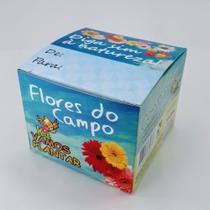 Mini kit plantio Flores do Campo