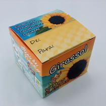 Mini kit plantio girassol Mini kit plantio girassol