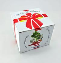 Mini kit plantio Tomate