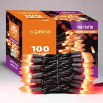 Mini lâmpada incandescente String Lights GLOWNOVA 100 para Halloween Mini lâmpada incandescente String Lights GLOWNOVA 100 para Halloween