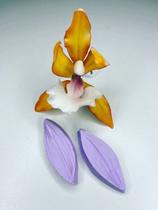 Mini molde frisador para orquídea diversas