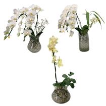 Mini Orquidea Phalaenopsis Cascata Alba No Vaso De Vidro