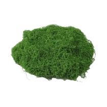 Mini Paisagem Com Plantas Verdes Artificiais 200g Musgo De Vida Eterna Para Decoração De Jardim,