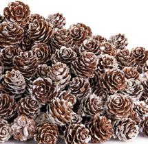 Mini pinhas Deloky, 700 peças, decoração em madeira natural de 2,5 cm