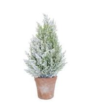 Mini pinheiro com vaso terracota 37cm